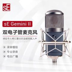 sE GEMINI II 双电子管录音棚麦克风